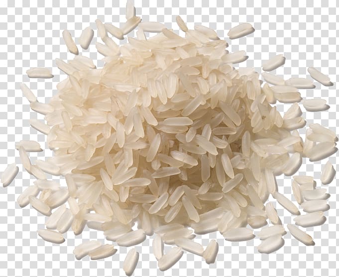 Rice noodle roll Pasta Food Cereal, grained transparent background PNG clipart
