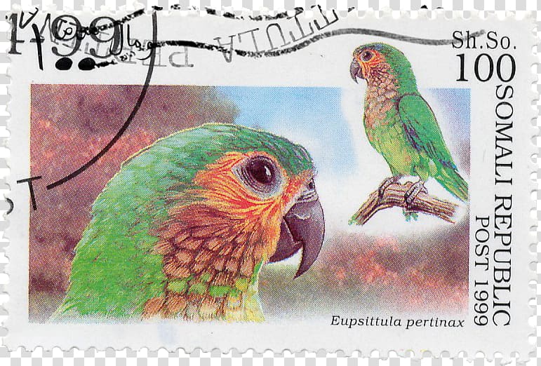 Budgerigar Parrot Bird Imperial amazon Saint Vincent amazon, Parrot Stamps transparent background PNG clipart