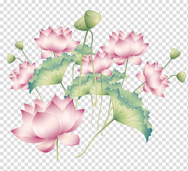 purple flowers and green leaves illustration, Buddhism Nelumbo nucifera, Chinese wind material Lotus Buddhism transparent background PNG clipart