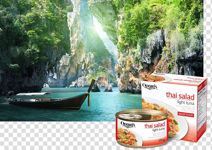 Tuna salad Thai cuisine Vinaigrette Fusion cuisine, salad transparent background PNG clipart