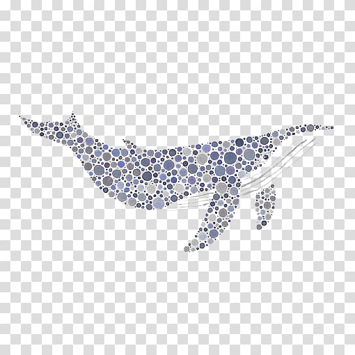 Sperm whale Right whales Humpback whale Blue whale, Spotted whales transparent background PNG clipart