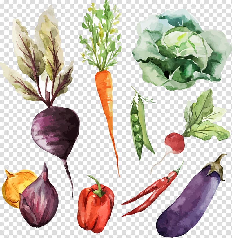 variety of vegetables illustration, Watercolor painting Vegetable Food, VEGTABLES transparent background PNG clipart