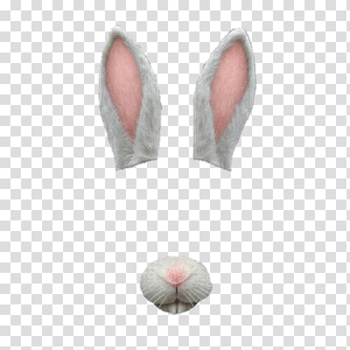white rabbit ears and nose illustration, Snapchat Filter Bunny Simple transparent background PNG clipart