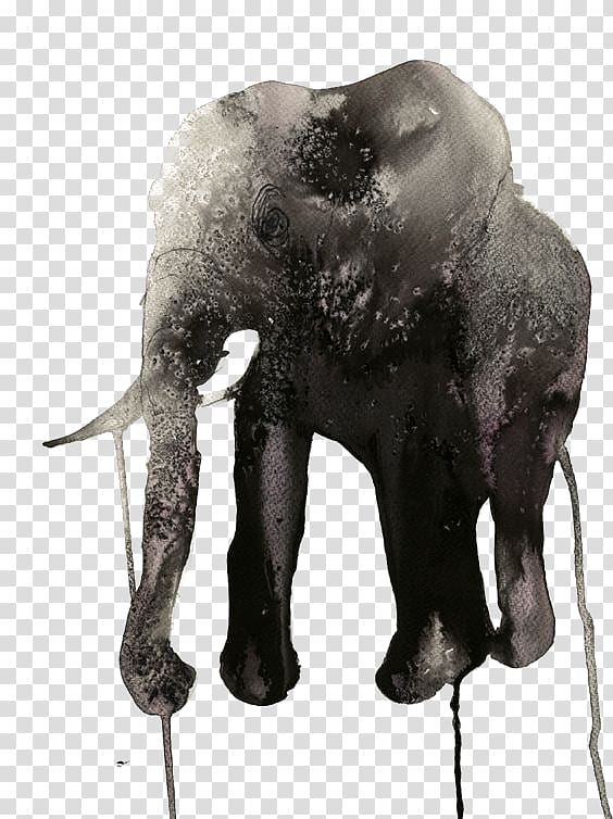 Wonderwall AB Watercolor painting Illustrator Art Illustration, Watercolor Elephant transparent background PNG clipart
