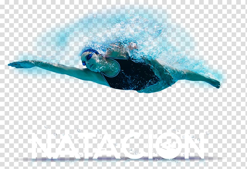 Olympic-size swimming pool Sport, Swimming transparent background PNG clipart