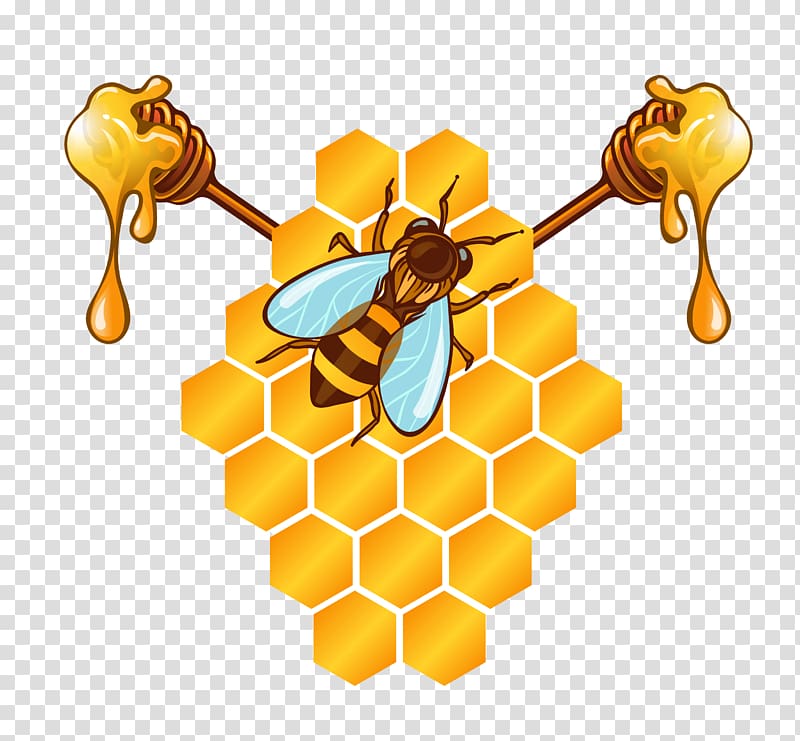 honeybee and honey illustration, Honey bee Honeycomb, bee honey material transparent background PNG clipart