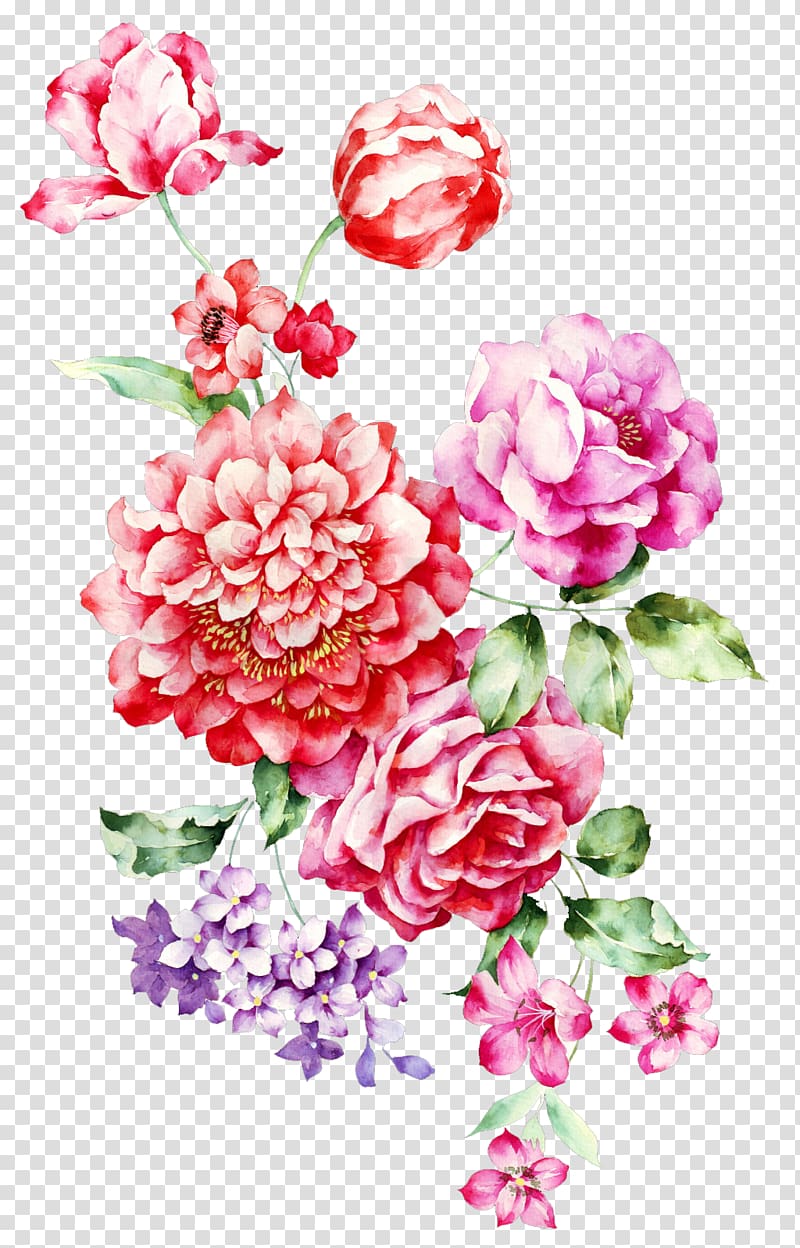 pink, red, and purple flowers illustration, Rosa chinensis Garden roses Centifolia roses Flower, Hand-painted flowers transparent background PNG clipart