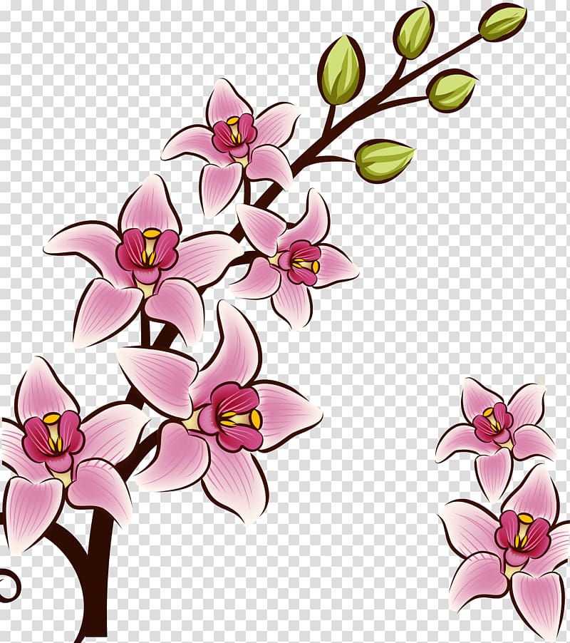 Drawing Flower Euclidean Illustration, Hand-painted lily material transparent background PNG clipart