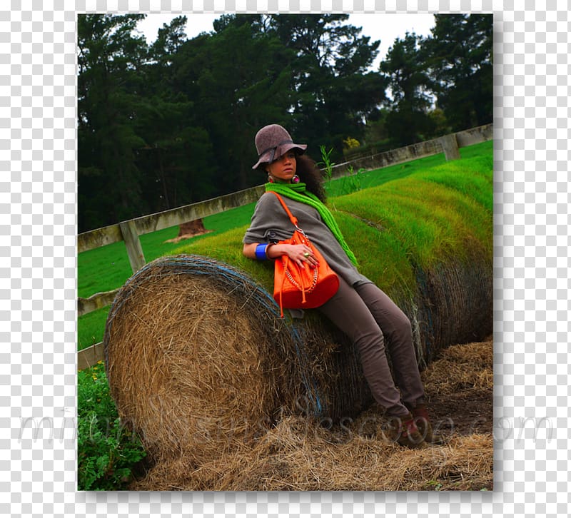 Lawn Soil Farm Tree, hay bales transparent background PNG clipart