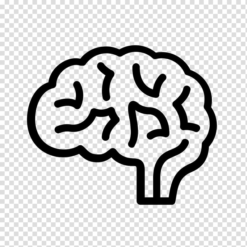 The Female Brain Computer Icons Human brain, Brain transparent background PNG clipart