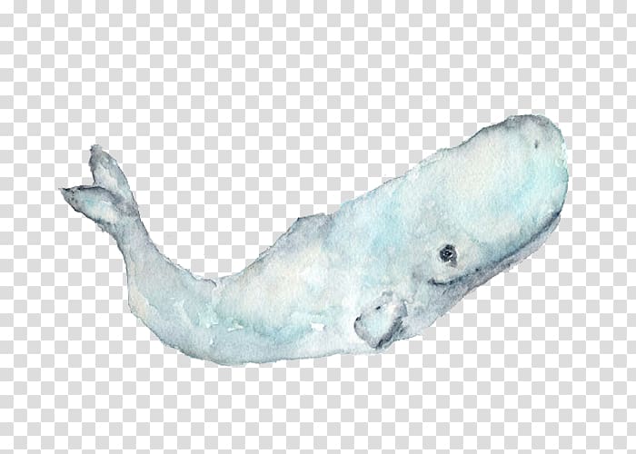 Sperm whale Paper Watercolor painting, Hand-painted whale transparent background PNG clipart