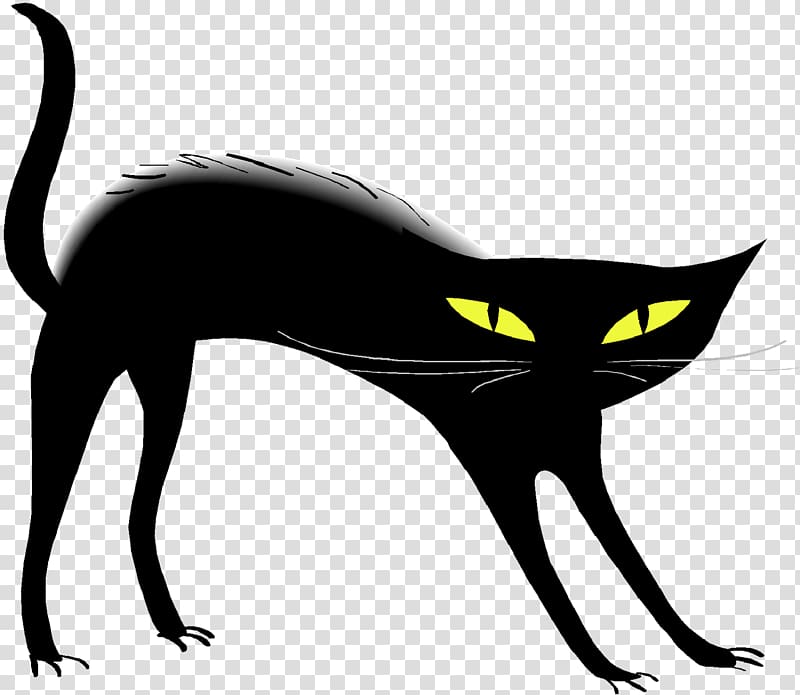 Black cat Friday the 13th Kitten , cats transparent background PNG clipart