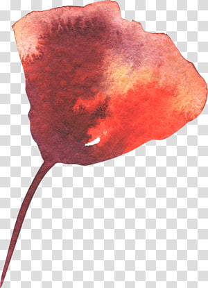Petal Leaf, Leaf transparent background PNG clipart thumbnail