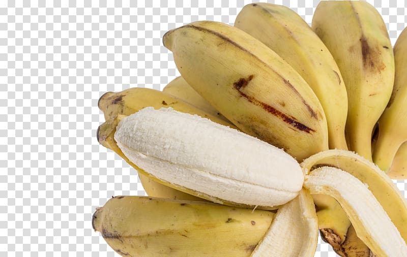 bunch of banana, Banana Flavored Milk Saba banana, banana transparent background PNG clipart