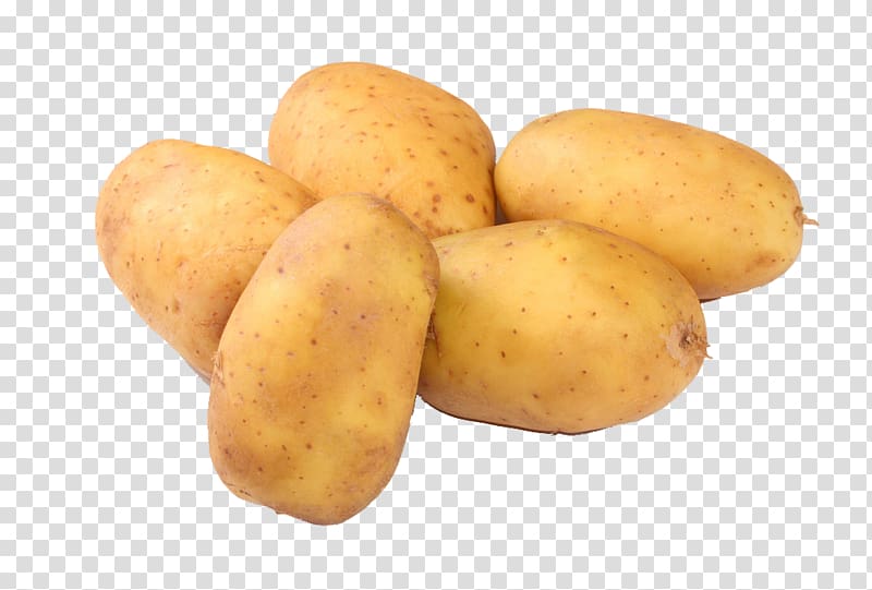 Mashed potato Potato ricer Purxe9e Potato masher, potato transparent background PNG clipart
