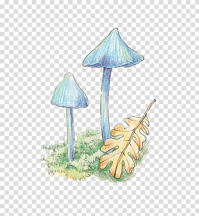 Watercolor painting Cartoon Colored pencil Illustration, Hand-painted mushrooms transparent background PNG clipart
