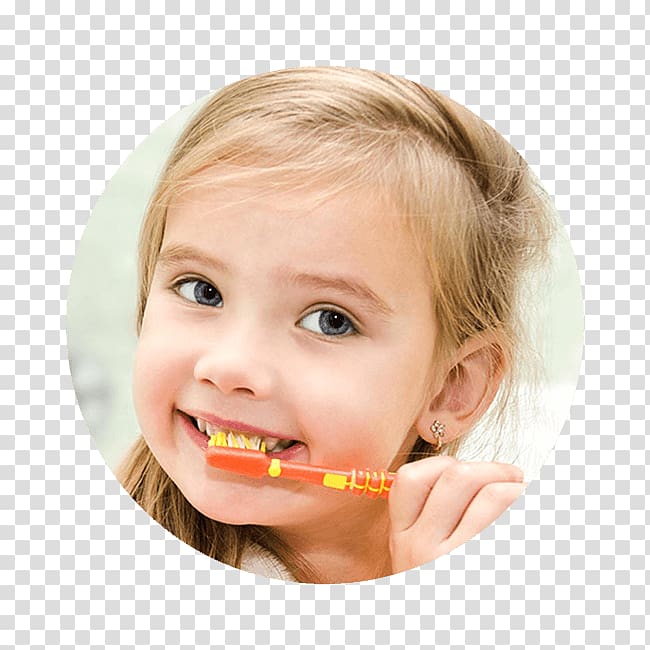 Pediatric dentistry Health insurance, Pediatric Dentistry transparent background PNG clipart