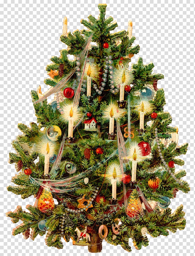Victorian era Christmas tree Christmas card Christmas decoration, christmas transparent background PNG clipart