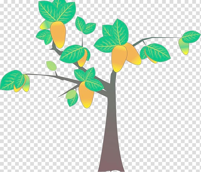 Mango, A mango tree transparent background PNG clipart
