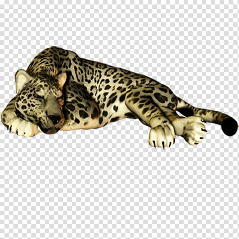 Leopard Felidae Cheetah Jaguar Cat, leopard transparent background PNG clipart