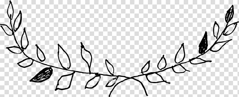 Twig Plant stem Line art , hand drawn wreaths transparent background PNG clipart