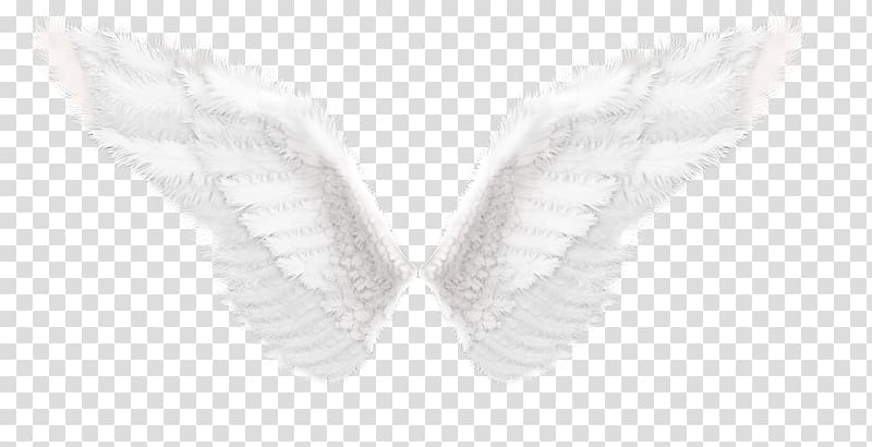 White Finger Shoe Pattern, Angel wings transparent background PNG clipart