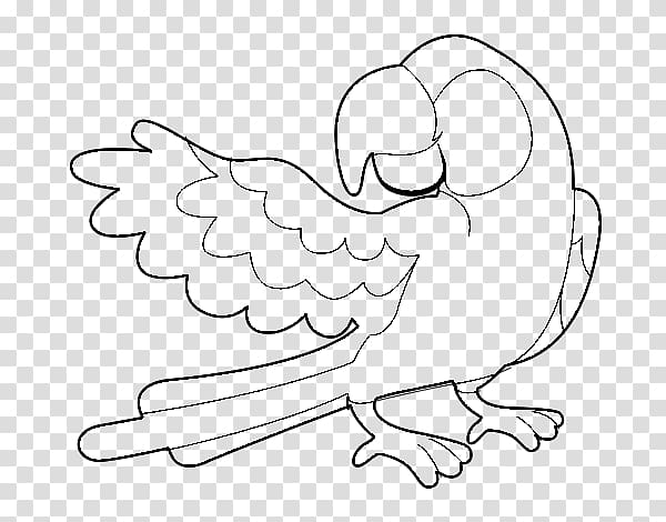 True parrot Drawing Coloring book Bird, beatrix potter transparent background PNG clipart