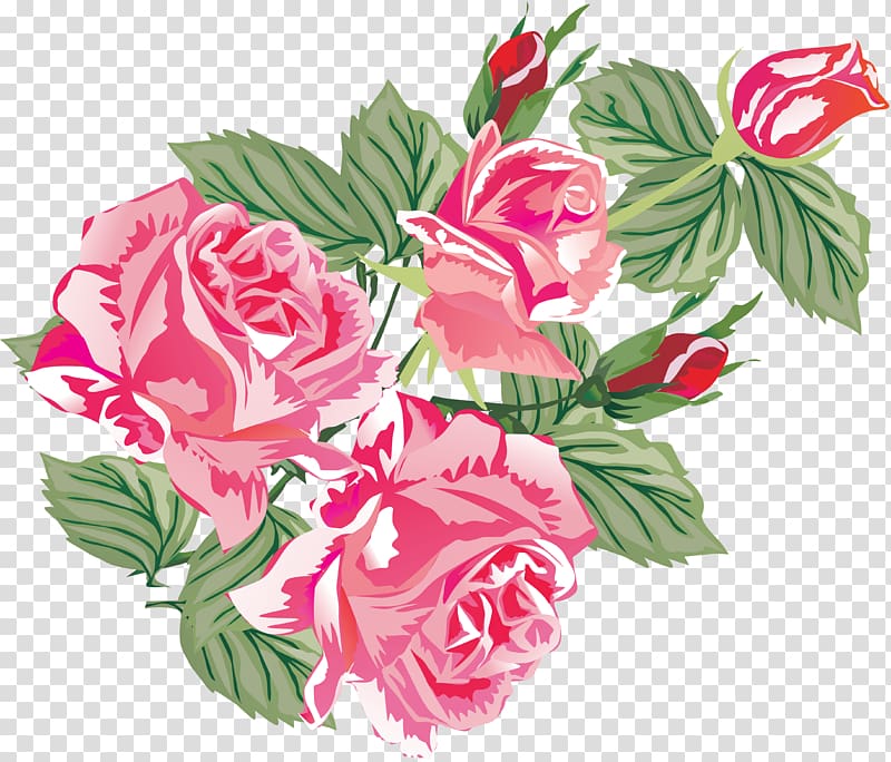 Rosa chinensis Rosa multiflora Moutan peony Garden roses, peony transparent background PNG clipart