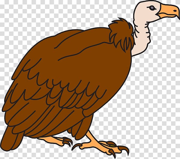 Beaky Buzzard Vulture Cartoon , Vulture transparent background PNG clipart