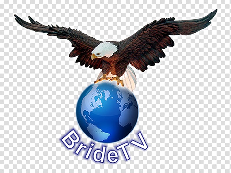 Weigelstown Bald Eagle Television Machine Power take-off, Independent Politician transparent background PNG clipart