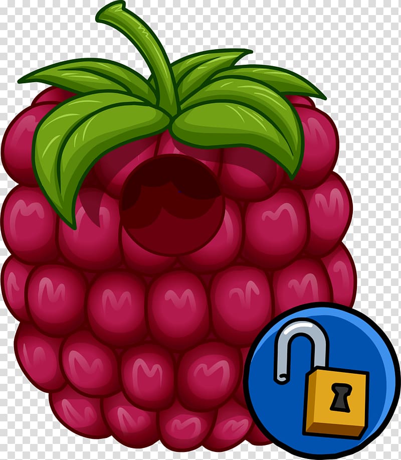 Club Penguin Fruit Food Disguise Clothing, raspberry transparent background PNG clipart