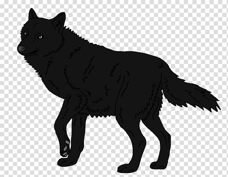 Schipperke Arctic wolf Mexican wolf Black wolf Arctic fox, wolf transparent background PNG clipart