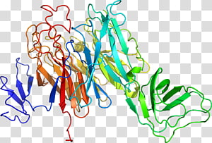 Line art Point , line transparent background PNG clipart thumbnail