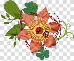 Floral design Cut flowers Petal, design transparent background PNG clipart thumbnail