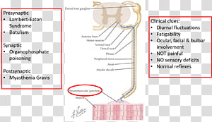 Paper Line Angle Diagram, line transparent background PNG clipart thumbnail