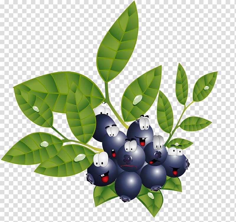 Bilberry Huckleberry Presentation, blueberry transparent background PNG clipart