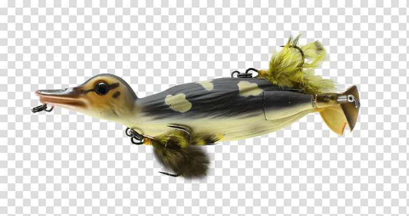 Northern pike Fishing Baits & Lures Topwater fishing lure Muskellunge, duck transparent background PNG clipart