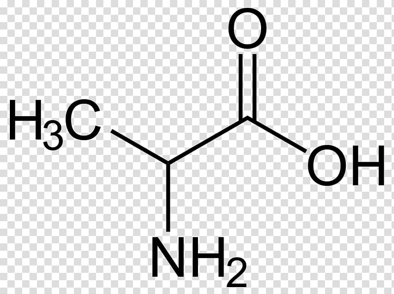 Alanine Proteinogenic amino acid Side chain Valine, Beta transparent background PNG clipart