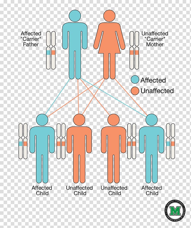 Severe combined immunodeficiency Adenosine deaminase deficiency Strimvelis Genetic disorder Gene therapy, domineering transparent background PNG clipart