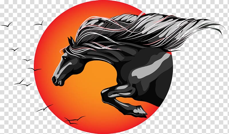 Horse Drawing, Horses soar transparent background PNG clipart