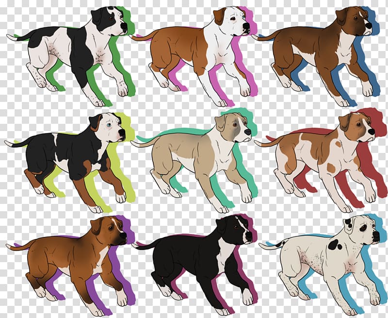 Dog breed Puppy Companion dog , American Kennel Club transparent background PNG clipart