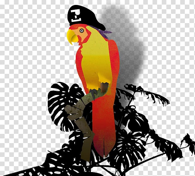 Looting Piracy Bird Parrot Toucan, pirate parrot transparent background PNG clipart