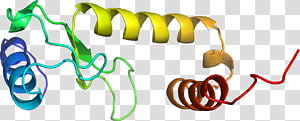 Organism Line , design transparent background PNG clipart thumbnail