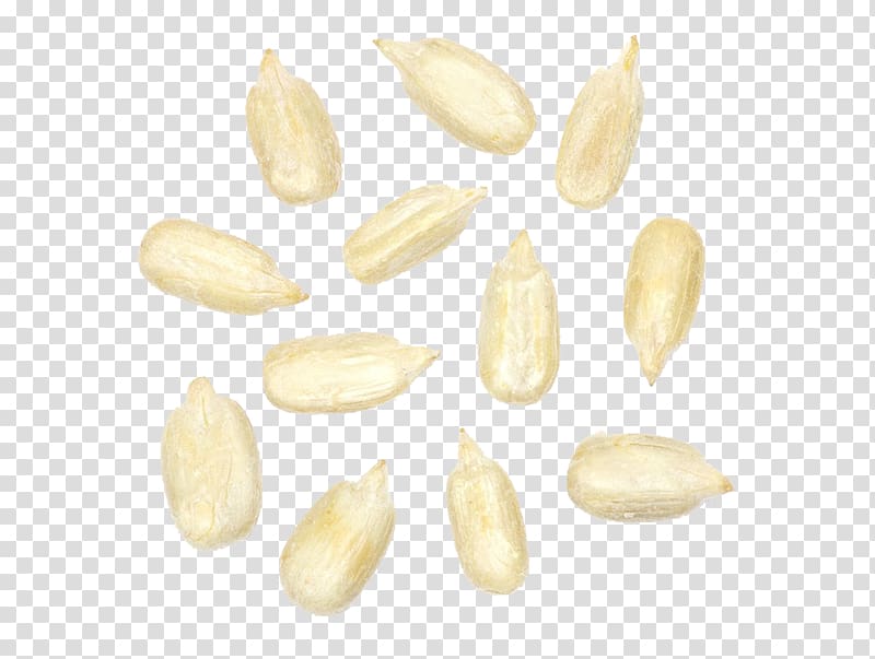 Commodity, White melon seeds transparent background PNG clipart