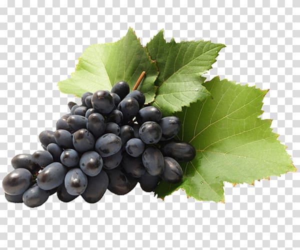 Sultana Grape Wine Cabernet Sauvignon Seedless fruit, grape transparent background PNG clipart
