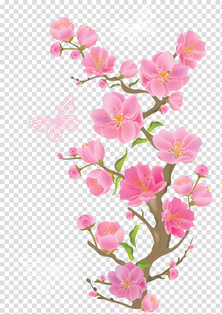 Cherry blossom Flower , cherry blossom transparent background PNG clipart