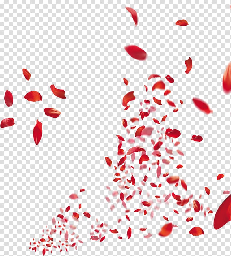 Adobe Illustrator CorelDRAW, Romantic red petals falling transparent background PNG clipart