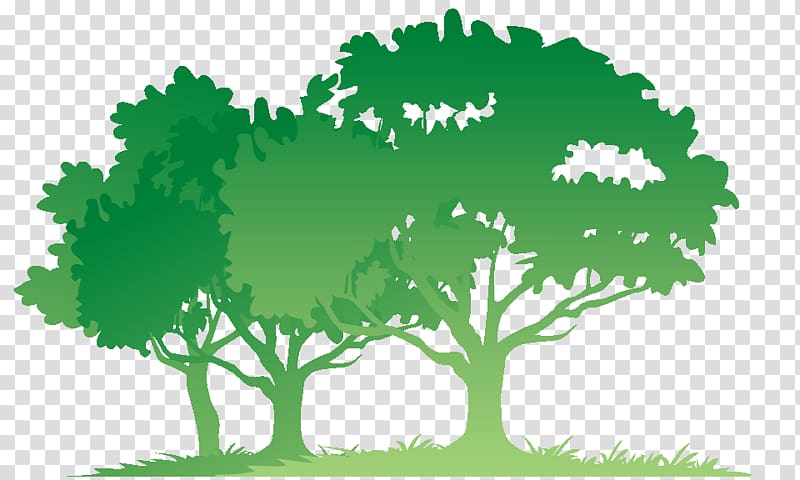 Bible Tree Child Donation Therapy, forest Silhouette transparent background PNG clipart