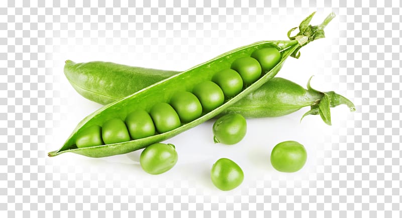 Snap pea Food Vegetable Vegetarian cuisine, pea transparent background PNG clipart