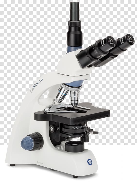 Stereo microscope Optics Microscopy Objective, microscope transparent background PNG clipart